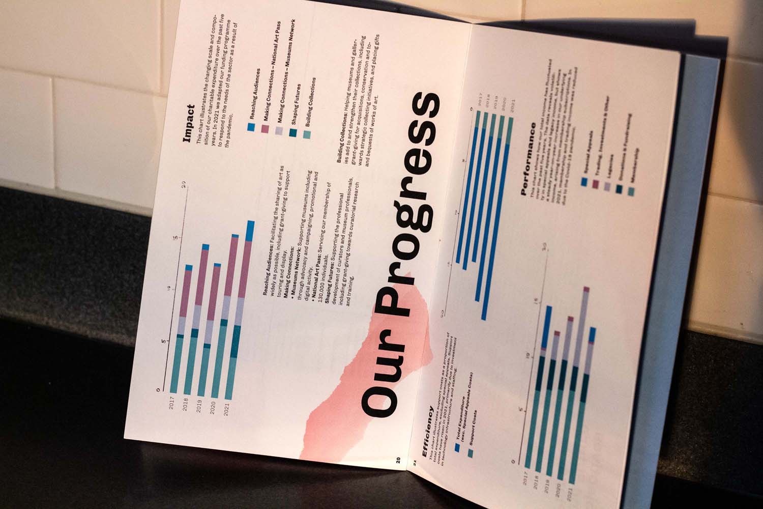 Nouvelle Annual Report Progress
